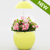 Floreira Hidropnica - J301 Amarelo - JardiNice